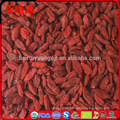 Bayas de goji anti-envejecimiento bayas de goji bayas de goji secas con bajo precio